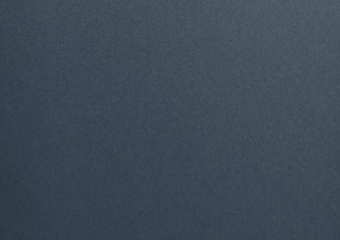 Chameleon Blue 8864