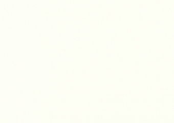 1298 Polar White