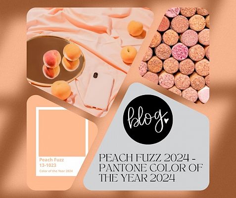 Peach Fuzz 2024 – Pantone color of the year 2024